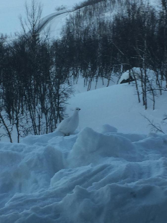 Hotel E-10 Kiruna Luaran gambar